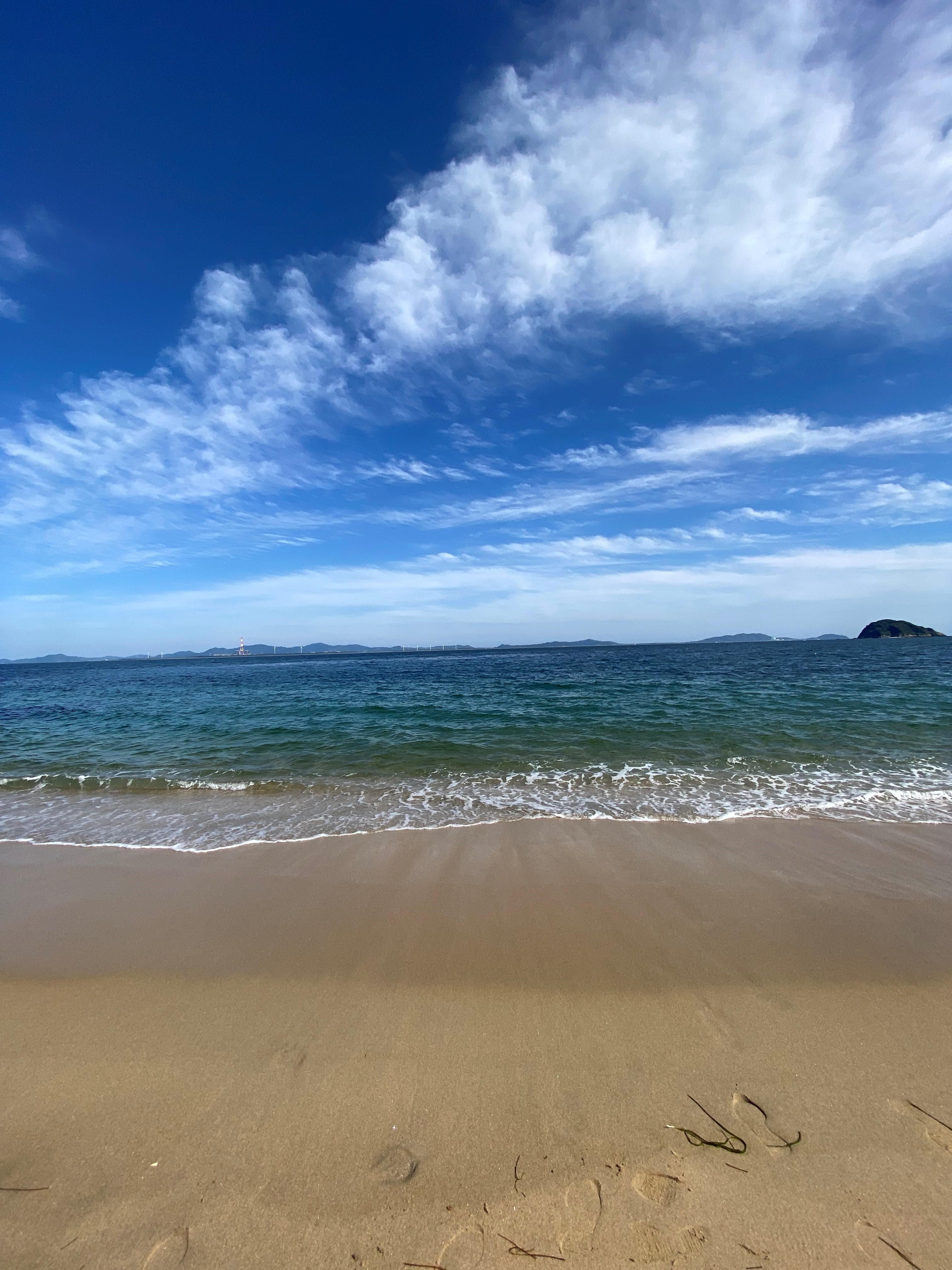 海開き（？） 写真